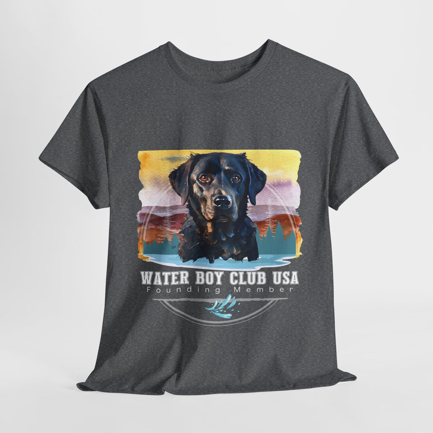 Gray t-shirt with a dog graphic and 'Water Boy Club USA' text on a white background