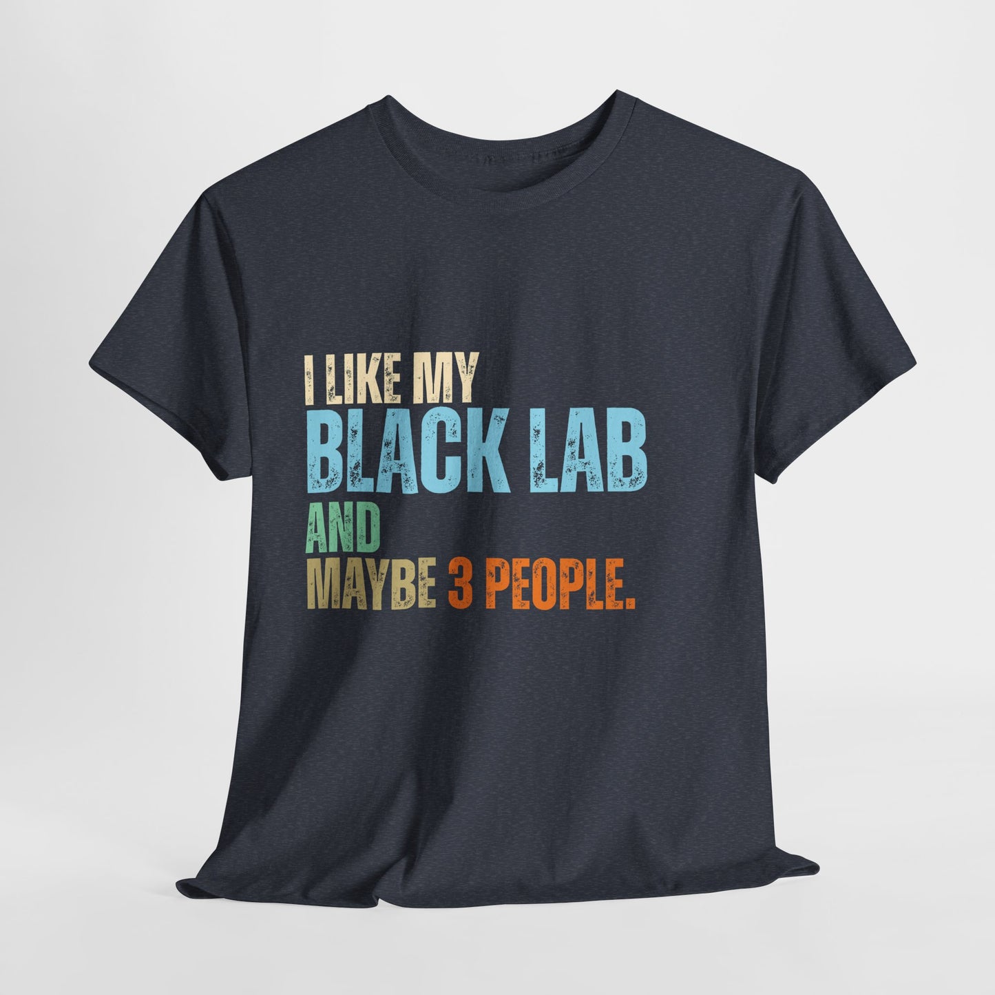 Black t-shirt with colorful text 'I LIKE MY BLACK LAB AND MAYBE 3 PEOPLE.' on a light gray background