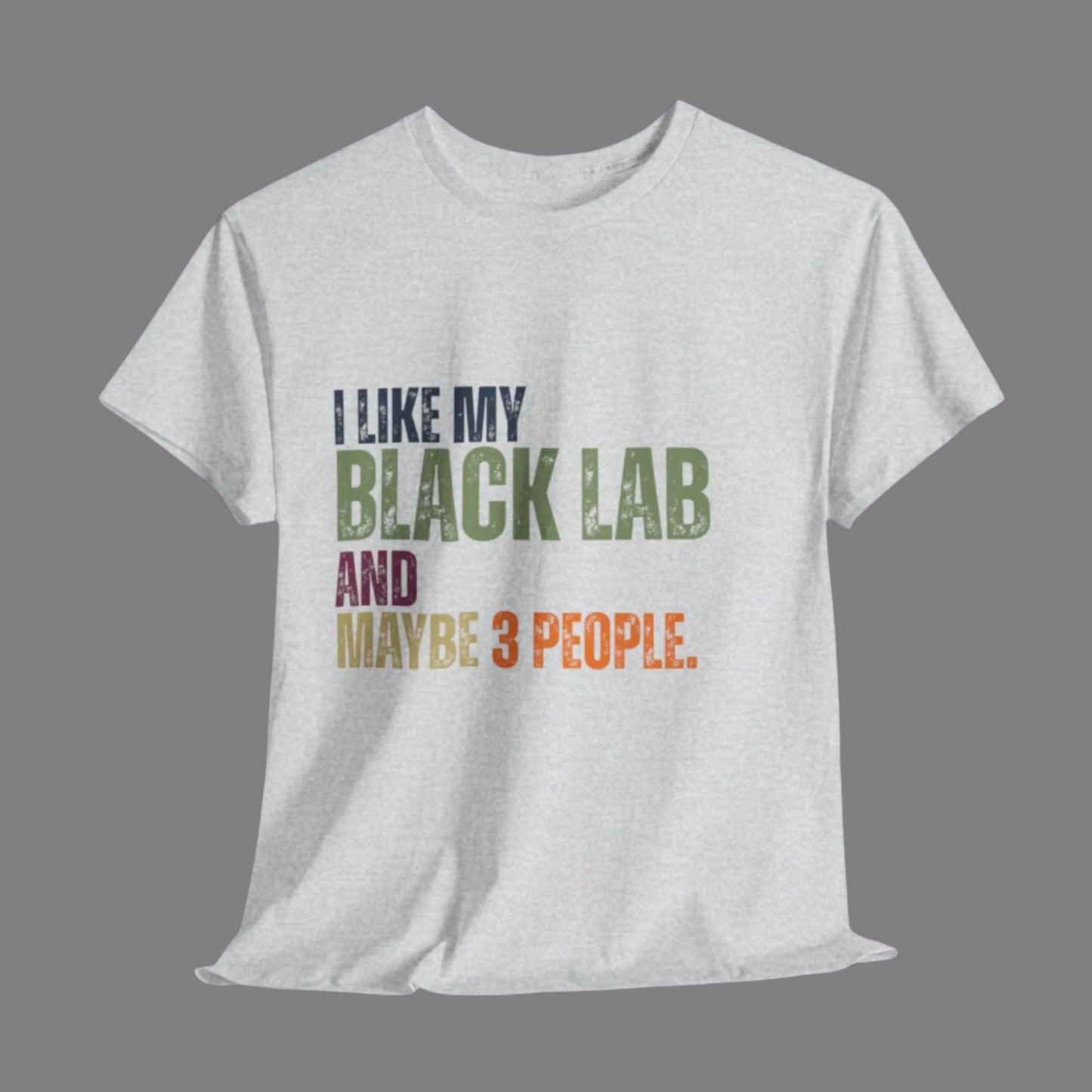 Ash t-shirt with text 'I like my Black Lab and maybe 3 people' on a wooden surface with pet accessories.