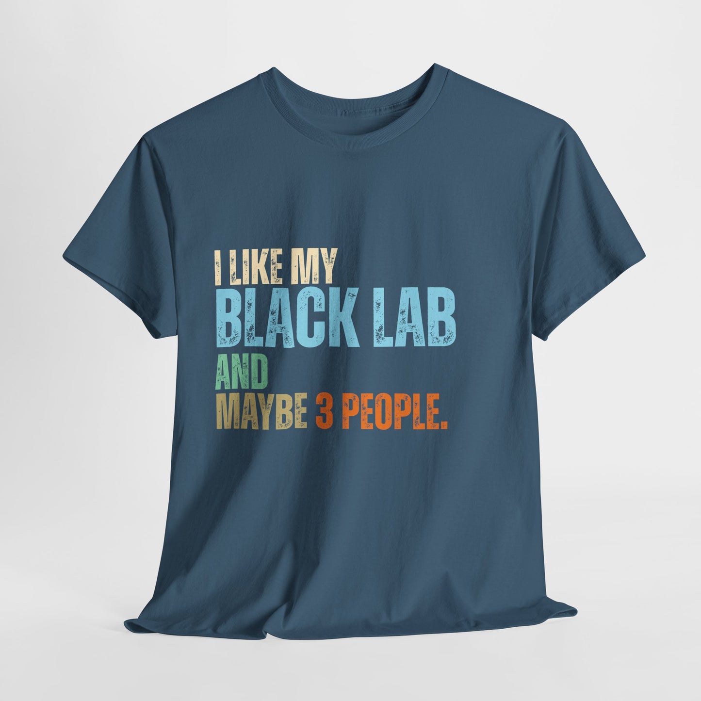 Blue t-shirt with colorful text 'I LIKE MY BLACK LAB AND MAYBE 3 PEOPLE.' on a light gray background