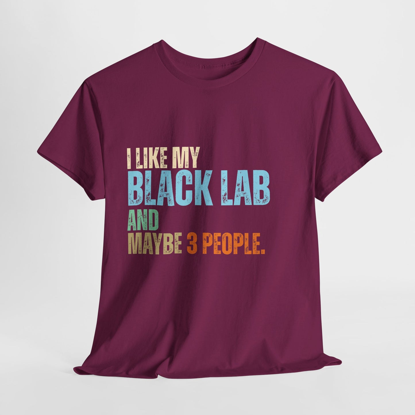 Berry t-shirt with text 'I like my Black Lab and maybe 3 people' on a wooden surface with pet accessories.