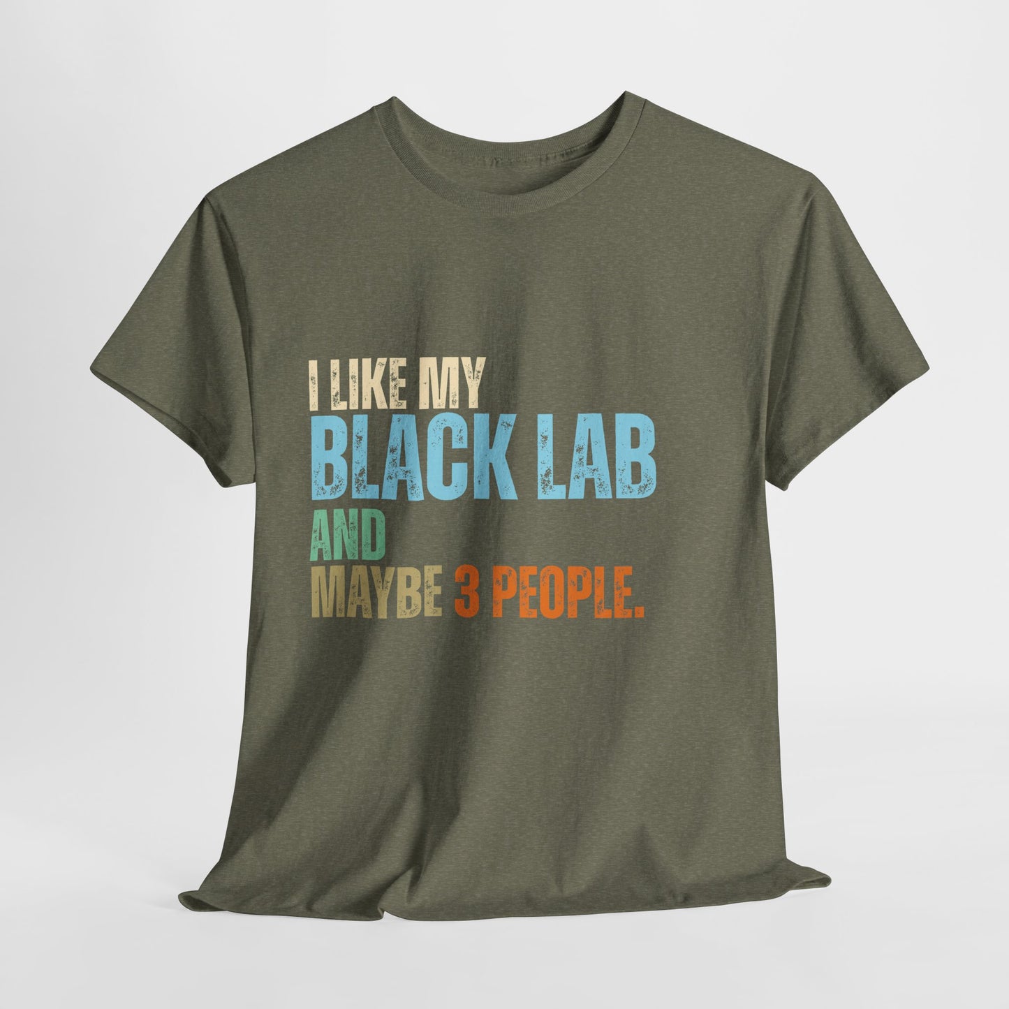 Green t-shirt with text 'I like my black lab and maybe 3 people' on a white background