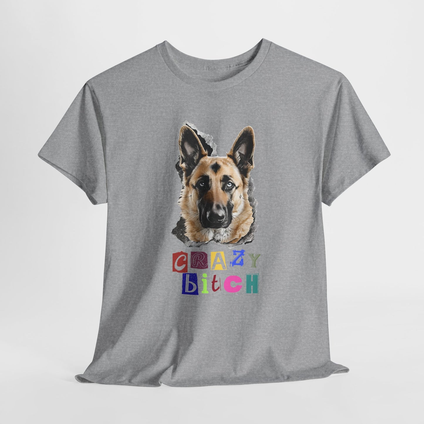 Sport Gray t-shirt with a dog graphic and colorful text on a white background
