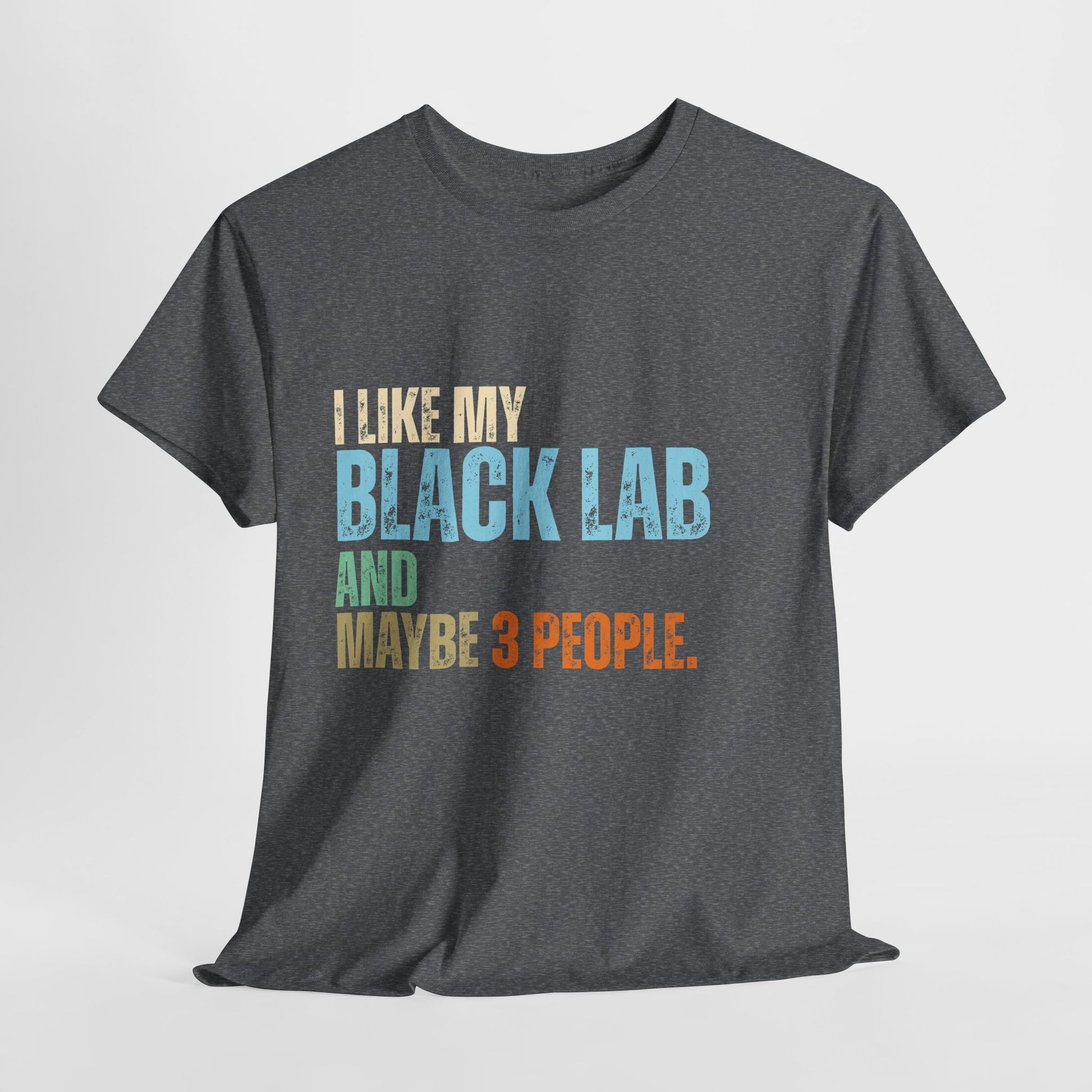 Gray t-shirt with colorful text 'I LIKE MY BLACK LAB AND MAYBE 3 PEOPLE.' on a light gray background