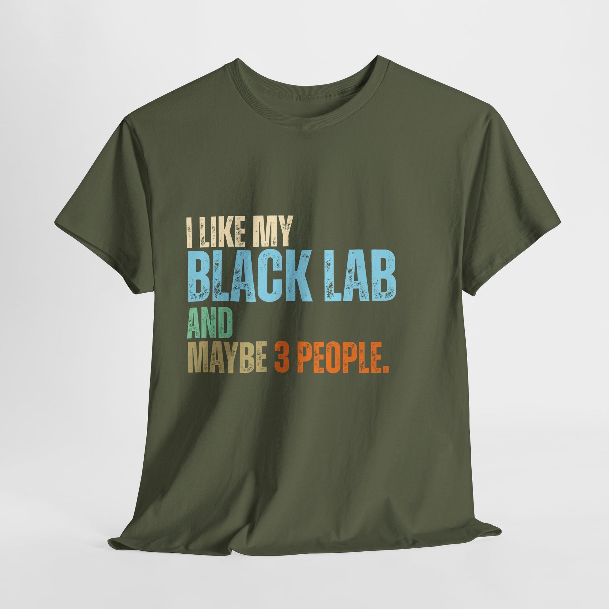 Green t-shirt with colorful text 'I LIKE MY BLACK LAB AND MAYBE 3 PEOPLE.' on a white background