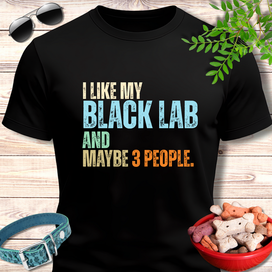 Black t-shirt with colorful text 'I LIKE MY BLACK LAB AND MAYBE 3 PEOPLE.' on a wooden surface with pet accessories.