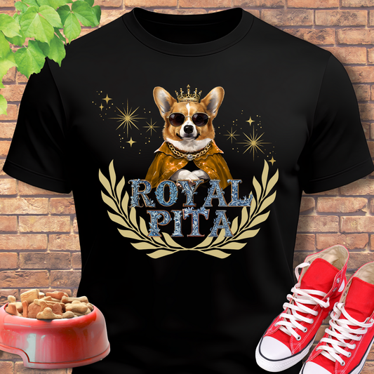 Corgi funny dog shirt Royal PITA in black