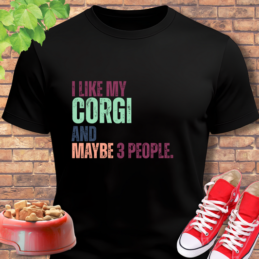 Black corgi tshirt with colorful text 'I LIKE MY CORGI AND MAYBE 3 PEOPLE.' on a brick background with red shoes and a bowl of dog food.
