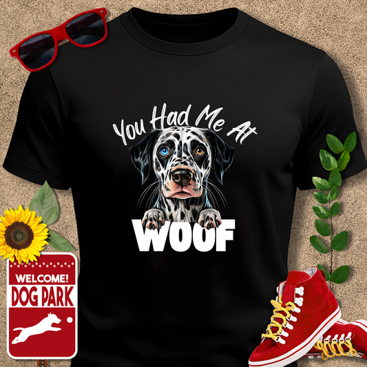 Black dog love tshirt with a dog graphic and text, sunglasses, red sneakers, sunflower, and 'Welcome to the Dog Park' sign on a beige background.