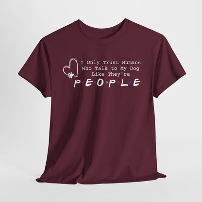 Maroon t-shirt with humorous text design on a light gray background